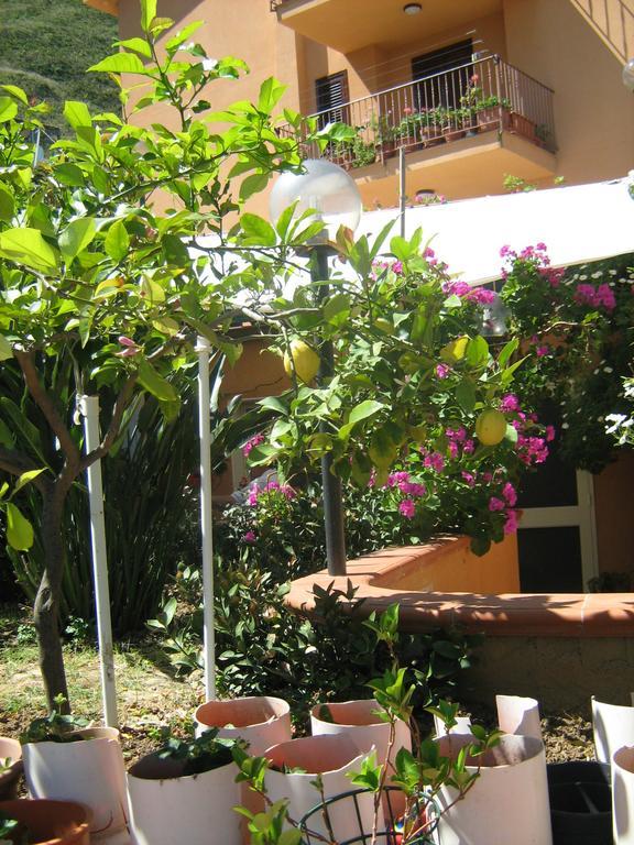 Terrazza Mimosa Apartamento Cefalù Exterior foto