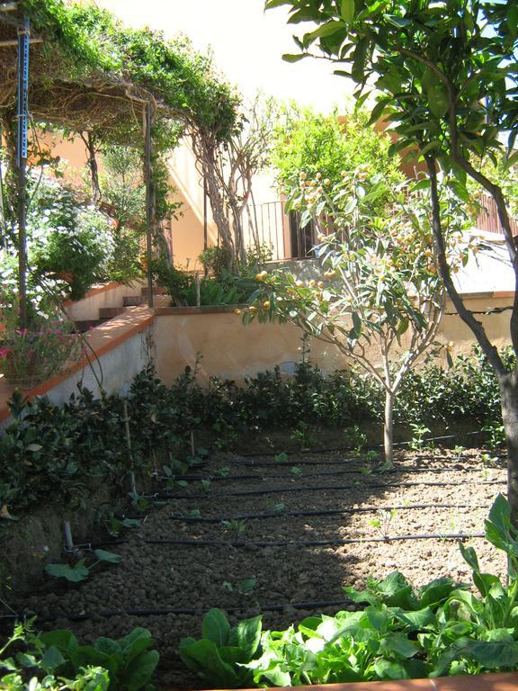 Terrazza Mimosa Apartamento Cefalù Exterior foto